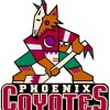 Phoenix Coyotes