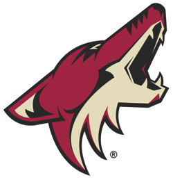 Phoenix-based artists put their stamp on Arizona Coyotes' hat promotion