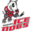 Niagara IceDogs