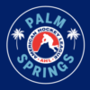Palm Springs AHL logo